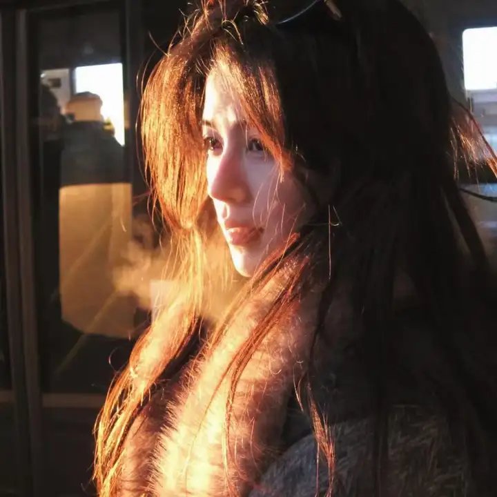 藏獒多吉